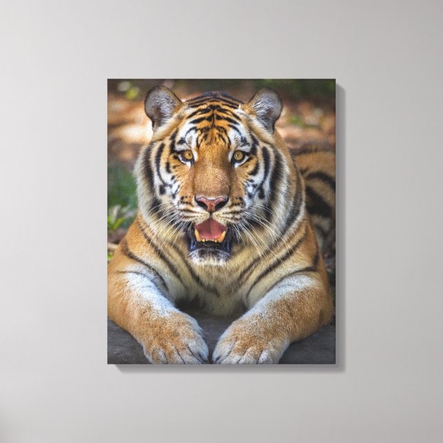 Lienzo Tigre (Anverso)