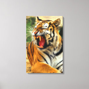 Lienzo tigre