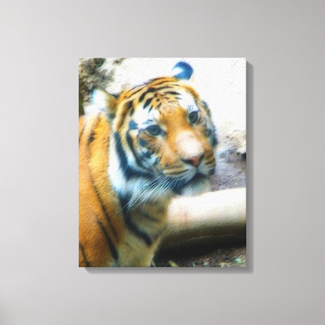 Lienzo Tigre (Anverso)