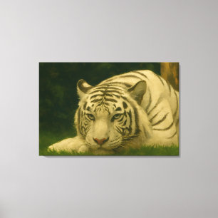 Lienzo Tigre blanco descansando en la sombra de Woodland