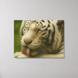 Lienzo Tigre blanco en ritual de cultivo privado