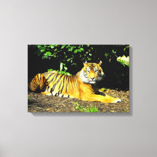 Lienzo tigre de Sumatra animal