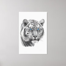 Tigre - Dibujo de lápiz con ojos azules
