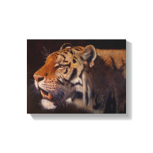 Tigre Majestuoso Pequeño