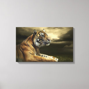 Lienzo Tigre que mira y que se sienta debajo del cielo