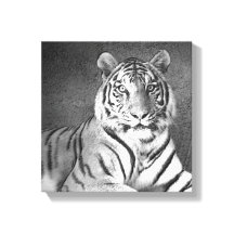 Tigre siberiano en blanco y negro - tela