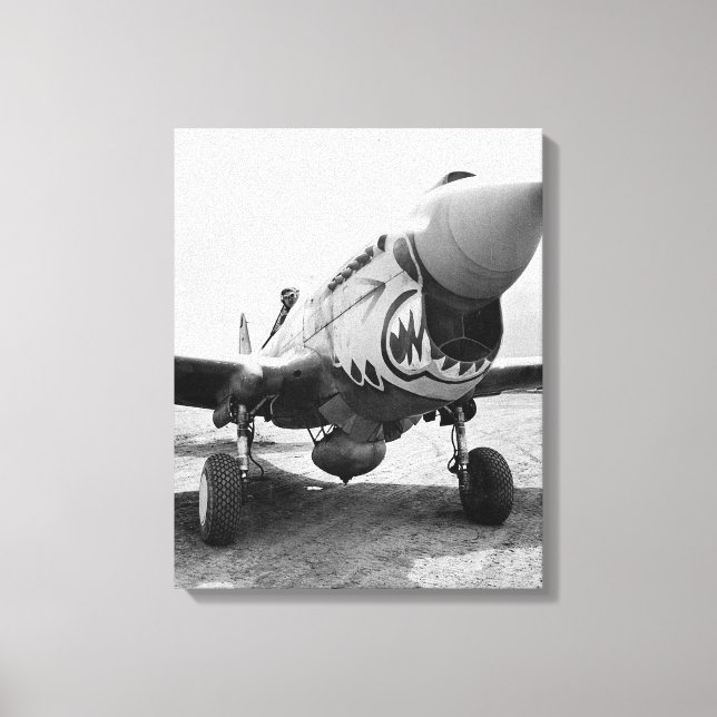 Lienzo Tigres Voladores P-40 Warhawk, 1941 (Anverso)