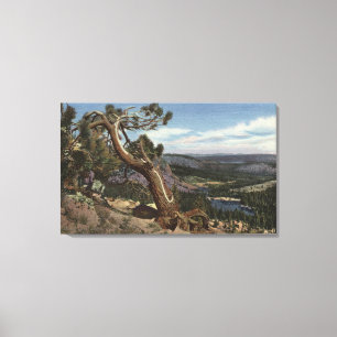 Lienzo Timberline en el escudo gigantesco