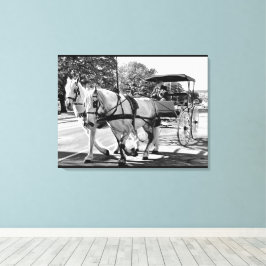 Lienzo Timeless Journey