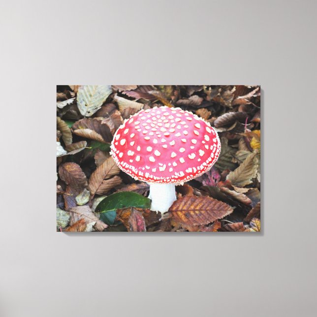 Lienzo Toadstool rojo, Amanita muscaria (Anverso)