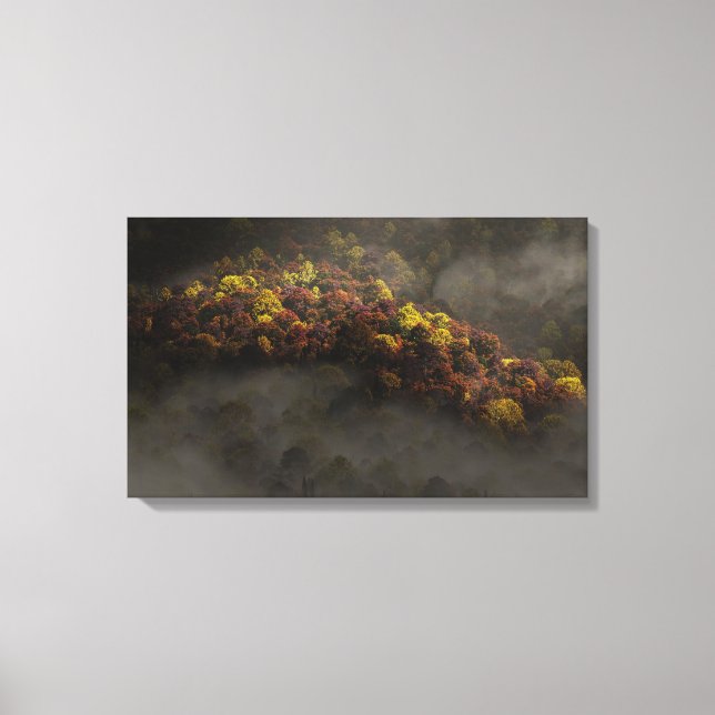 Lienzo Tocado por el sol (Anverso)