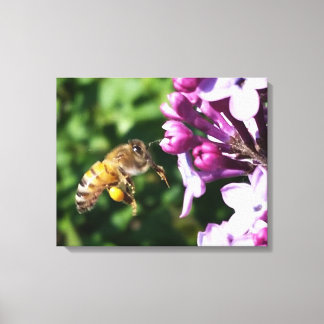Lienzo Todo por la miel polen de abeja y lilac