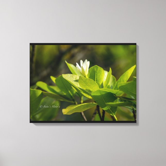 Lienzo Toile "Tiare Tahiti" photographie Itata'e Hoho'a  (Anverso)