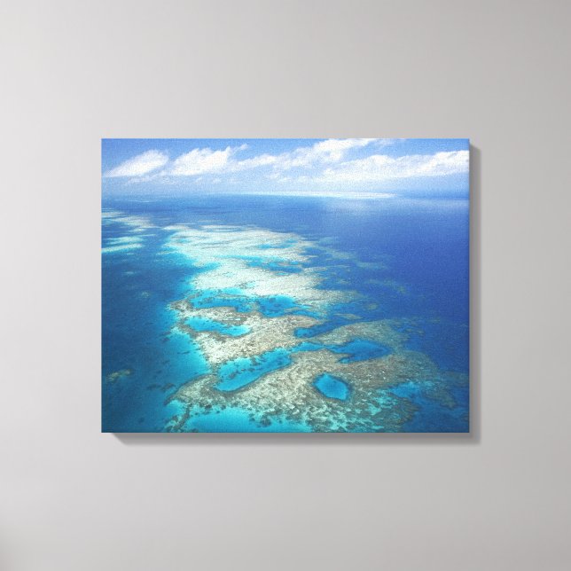 Lienzo Tongue Reef, Parque Marino de la Gran Barrera de C (Anverso)