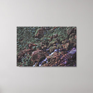 Lienzo Tono de la Tierra