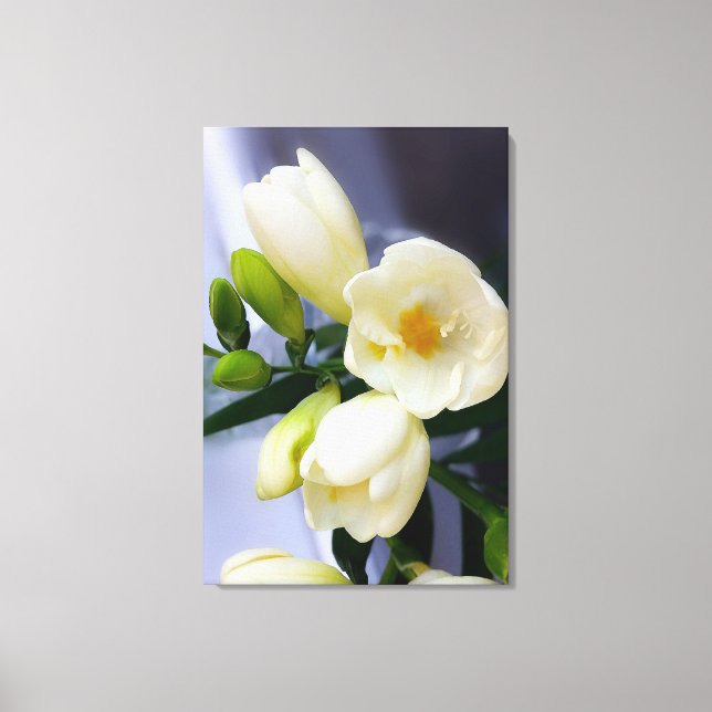 Lienzo Tonos amarillos sobre la freesia blanca (Anverso)