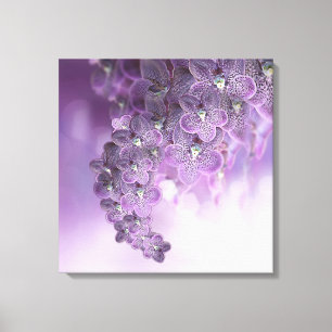 Lienzo Tonos de orquídeas violetas púrpuras