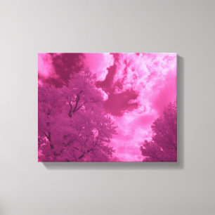 Lienzo Tonos rosados infrarrojos nube