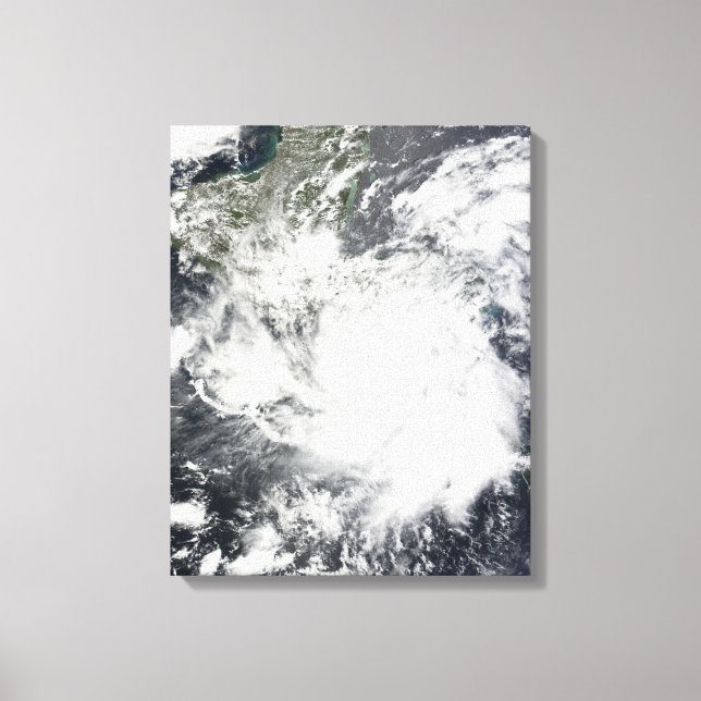Lienzo Tormenta tropical Alma (Anverso)