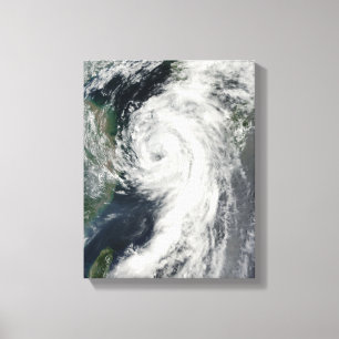 Lienzo Tormenta tropical Dianmu