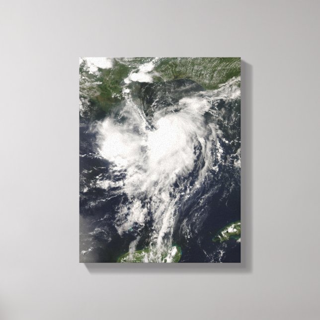 Lienzo Tormenta tropical Edouard (Anverso)