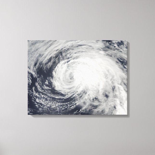 Lienzo Tormenta tropical Ele en el Pacífico central (Anverso)