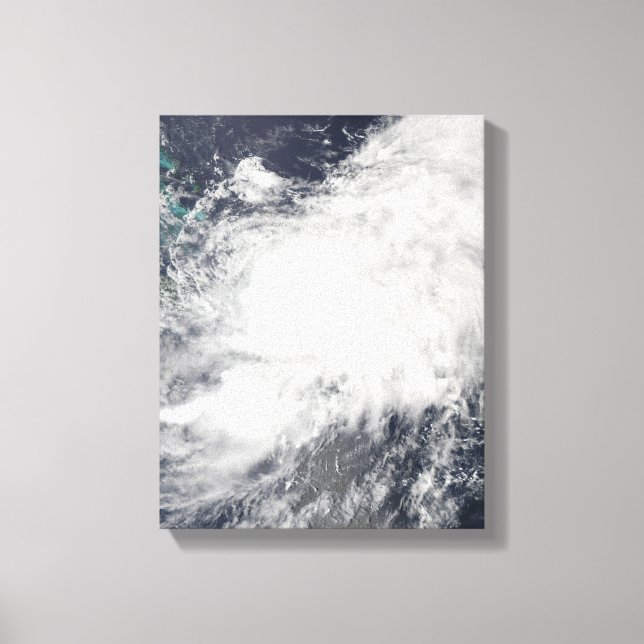 Lienzo Tormenta tropical Hanna (Anverso)