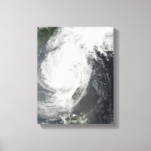Lienzo Tormenta tropical Parm