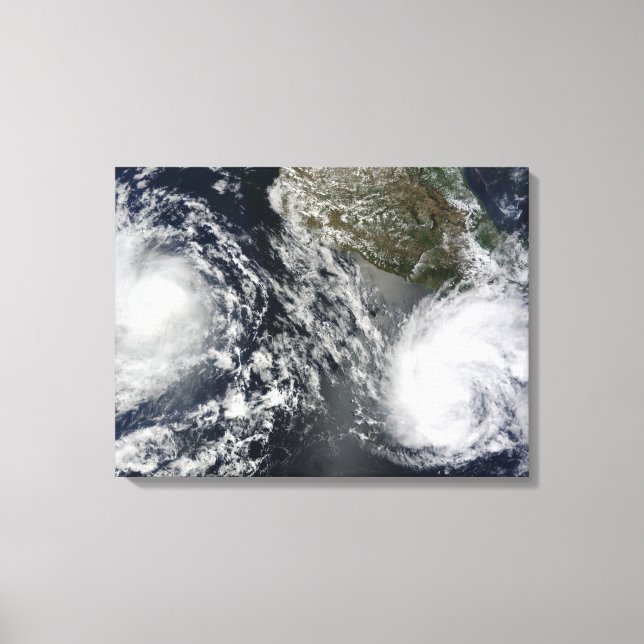 Lienzo Tormentas tropicales Blas y Celia (Anverso)
