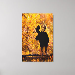 Lienzo Toro De Moose (Alces Alces) En Goloncitos Dorados 