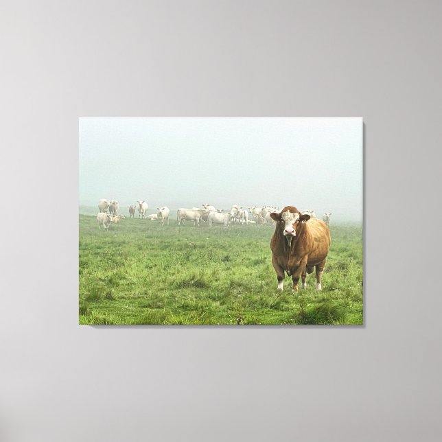 Lienzo Toro Simmental en Pasto de niebla (Anverso)