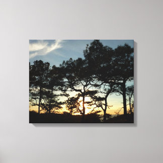 Lienzo Torrey Pine Sunset II California