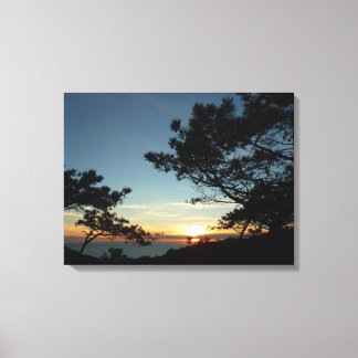 Lienzo Torrey Pine Sunset III California