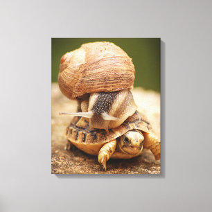 Lienzo Tortoise, bebé que viaja por caracoles