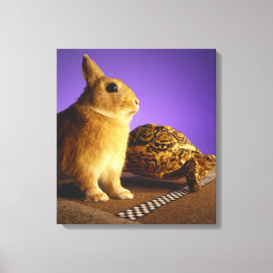 Lienzo Tortoise y la liebre