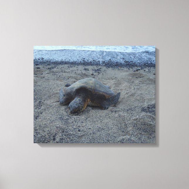 Lienzo Tortuga de arena dorada Kiholo Bay (Anverso)