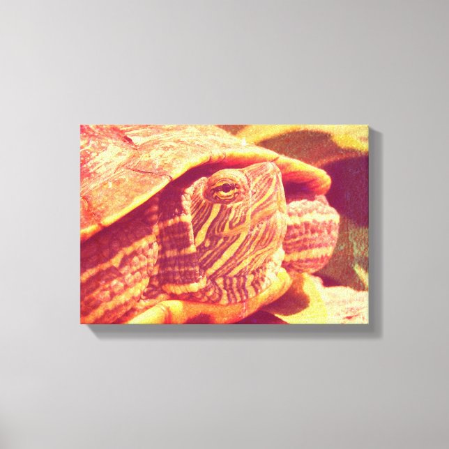 Lienzo Tortuga deslizante de oído rojo (Anverso)