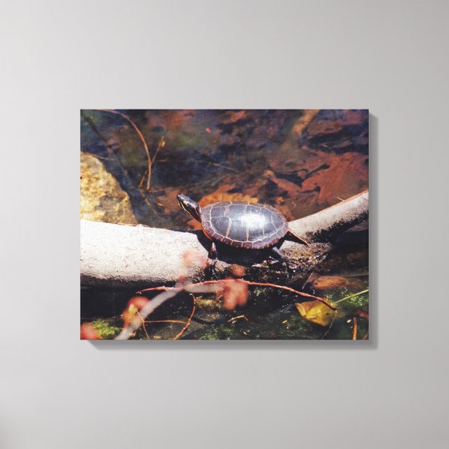 Lienzo Tortuga feliz (Anverso)