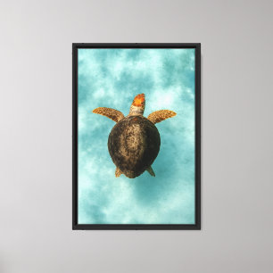 Lienzo Tortuga marina en agua transparente
