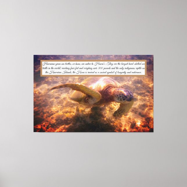 Lienzo Tortuga nativa hawaiana (Anverso)