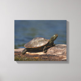 Lienzo Tortuga pintada en un tronco