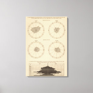 Lienzo Tos ferina de 116 muertes