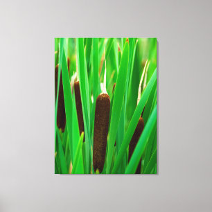 Lienzo Totoras en Cattail Marsh en Colorado