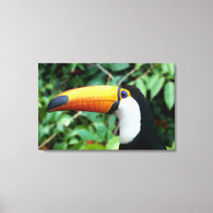 Lienzo Toucan Bebida Amarilla