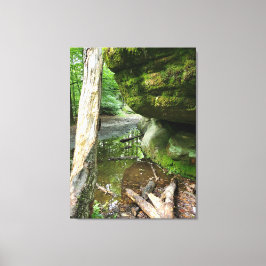 Lienzo Tranquil Forest Canvas Print | Real Landscape