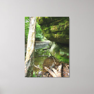 Lienzo Tranquil Forest Canvas Print | Real Landscape