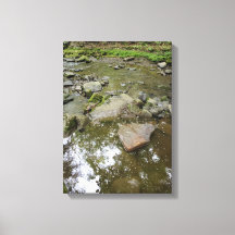 Tranquil Forest Canvas Print | Real Landscape Home