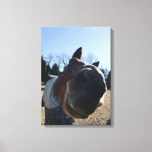 Lienzo ¡¿TRATADOS?! Caballo Nosey