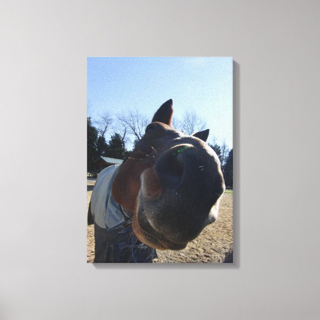 Lienzo ¡¿TRATADOS?! Caballo Nosey (Anverso)