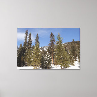 Lienzo Trayectos de montaña de Montana en fotografía de p